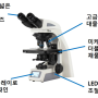 생물현미경 HNB007 고급형 연구용 특징 영상자료