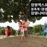 함평엑스포공원 봄축제 (봄꽃축제) 함평나비대축제 가볼만한곳 미리보기