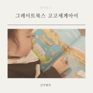 고고세계아이 그레이트북스 5세 6세 전집 (feat.개구리서적)