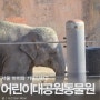 아이와 서울어린이대공원 동물원 입장료 주차 정보