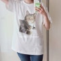 고양이 굿즈, 케이펫페어 세텍 커스텀 티셔츠 제작