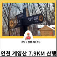 인천 계양산 7.9KM 산행