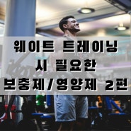 '웨이트 트레이닝'에 필요한 "보충제/영양제" 뭐가 있을까? 2편