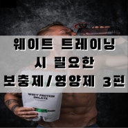 '웨이트 트레이닝'에 "필요한 보충제/영양제" 뭐가 있을까? 3편