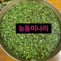 [능동미나리] 용산 본점: 미나리 동동 미나리 곰탕&간장베이스 육회비빔밥 /용리단길 미나리 맛집