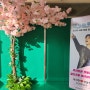 조화나무 벚꽃나무[렌탈] 미스터트롯2 2024 서울콘서트!!!