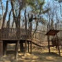삼청공원 유아숲체험장 숲속의 숲