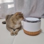 고양이 정수기, 급수량 확인이 가능한 포먼스 우디 사용후기