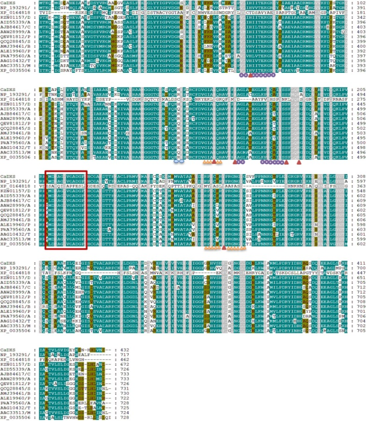 다중서열정렬 (multiple sequence alignment, MSA) 시각화 : 네이버 블로그