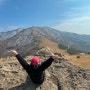 [울산여행]울산등산코스추천 | 울산 영남알프스 간월재