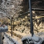 [예레반에서] 눈이 엄청 내렸던 날의 사진들, 아르메니아 예레반 겨울 날씨, 첫 겨울을 보낸 소감, 2024년 1월 말, Yerevan, Armenia