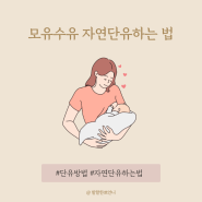 자연단유하는법 기간 젖몸살 경험담