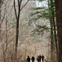 경기도 포천 가볼만한곳, 국립수목원 광릉수목원 주차예약 필수 인 이유