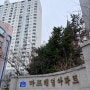 <임장기록부> 마포구 용강동/토정동/염리동(南)/대흥동(南)(4) : "마포태영 아파트" 임장