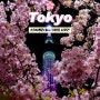 일본 도쿄 여행 스카이트리 벚꽃 스팟 카와즈 사쿠라 (Kawazu-zakura 河津桜)🌸