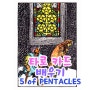 타로 마이너카드 FIVE of PENTACLES 파이브오브펜타클 동전 5개