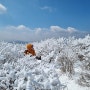태백산, 춘삼월 환상적인 설경을 찾아서 - 2024년 3월 8일(금)