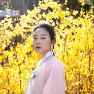 [서울] 노랑노랑 개나리와 벚꽃을 함께 볼 수 있어요! 가벼운 언덕 등산으로 만끽하는 서울 봄꽃 나들이 명소, 응봉산 개나리 축제