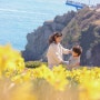 부산 오륙도 해맞이공원 수선화 3월 꽃구경 즐기기 (주차, 개화 현황)