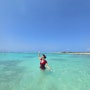 아루바 여행 스노쿨링 명소 해변 바다 Baby Beach in Aruba 베이비 비치
