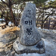 청계산 등산코스 정상 매봉까지 소요시간 및 주차장 기부하이킹 도전해요