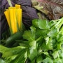 모듬 쌈채소 종류인 로메인 야채 이름 등의 영양 정보 정리