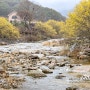 구례 가볼만한곳 산수유마을 봄꽃축제 2024 구례산수유축제