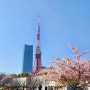 [일본]3박4일 도쿄여행 3일차-드디어 햇빛과 함께하는 도쿄시내 투어(feat.아사쿠사)
