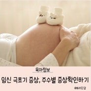 육아 정보) 임신 극초기 증상, 월경 전 증후군과 비교하기, 주수별 증상