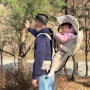 포브 볼레 프로 아기등산캐리어 후기 아기랑 여행 준비물 필수