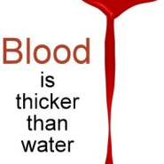 [영어 표현 모음 382개째 :: 속담] Blood is thicker than water