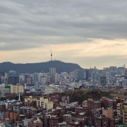 [창신동카페] 서울이 한 눈에 보이는 통창 카페 테르트르 주차 정보