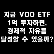 지금 VOO ETF 1억 투자하면, 경제적 자유를 달성할 수 있을까? (Feat. 주가, 배당, 예상수익)