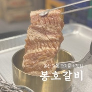 즉석 양념 돼지갈비가 맛있는 울산 달동 <봉호갈비>