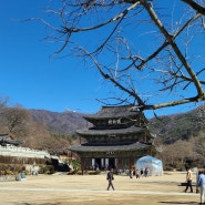 김제가볼만한곳, 봄이 오는 중인 모악산 금산사를 방문했습니다