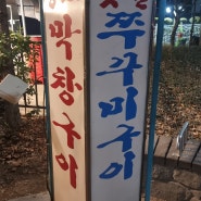 [서울 을지로] 야장 분위기 다동 황소막창
