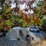부여 내안의숲오토캠핑장 산속깊은 숲속 캠핑