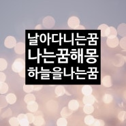 나는꿈 날아다니는꿈 하늘은나는꿈 나는꿈해몽