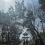 인천데이트코스 동인천역 잉글랜드왕돈까스 경사로 자유공원 차이나타운 월미도공원 어반정원 파르페
