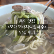 <오대오바지락칼국수> 후기 / 용인맛집 / 용인칼국수맛집