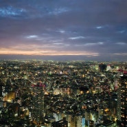 도쿄 야경 명소 무료로 즐기는 도쿄도청전망대 시간 & 위치