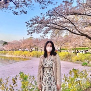 대구 주변 가볼만한곳 - 김천 연화지 국내 벚꽃 명소 개화시기