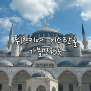 튀르키예 이스탄불 여행 이집션 바자르 31번 로쿰 쉴레이마니예 모스크