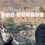 [봄산행/전남] 쫓비산 무박산행 코스 ♥ 광양 2024 매화마을 매화축제 포토존 먹거리 개화상태