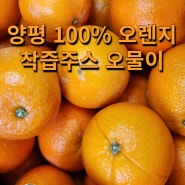 양평두물머리카페 추천 오물이 100% 오렌지 착즙 주스