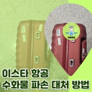 이스타항공 캐리어 위탁 수화물 파손 보상 방법 및 보상 절차