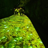 서울 도심속 동굴 광명동굴 다녀왔어요