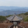 <산행> 김해 신어산, 신어산 등산코스, 철쭉군락지, 편백숲길