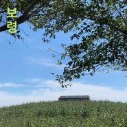 충남 보령 가볼만한 곳 충청수영성, 개화예술공원, 천북청보리밭
