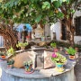 [멕시코 과나후아토 숙소] 소박한 정원이 예쁜 'Casa Lupita Homestay' by 아고다